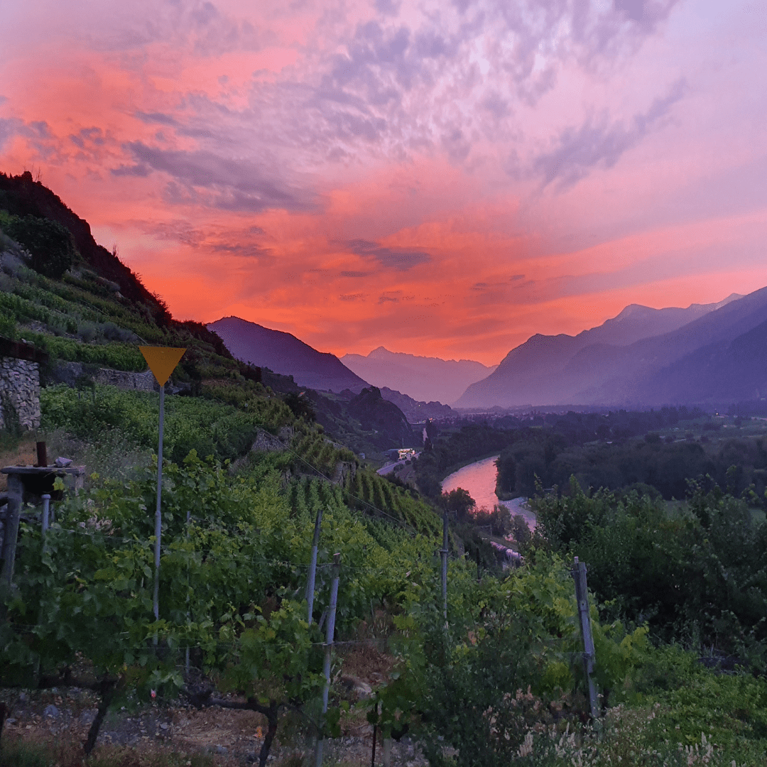 swiss wine gift idea - Geschenkidee Schweizer Wein