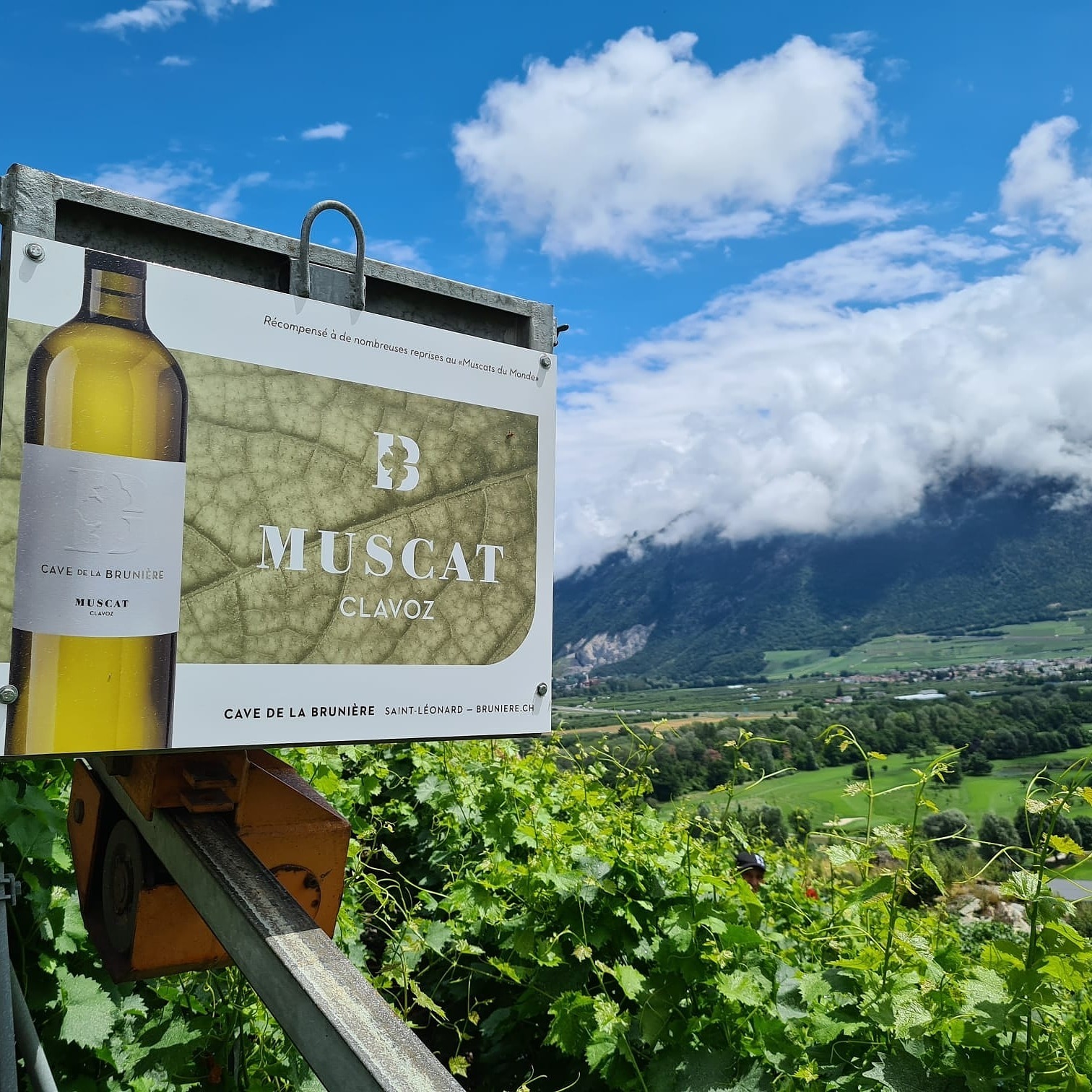 idée cadeau vin suisse swiss wine gift idea -