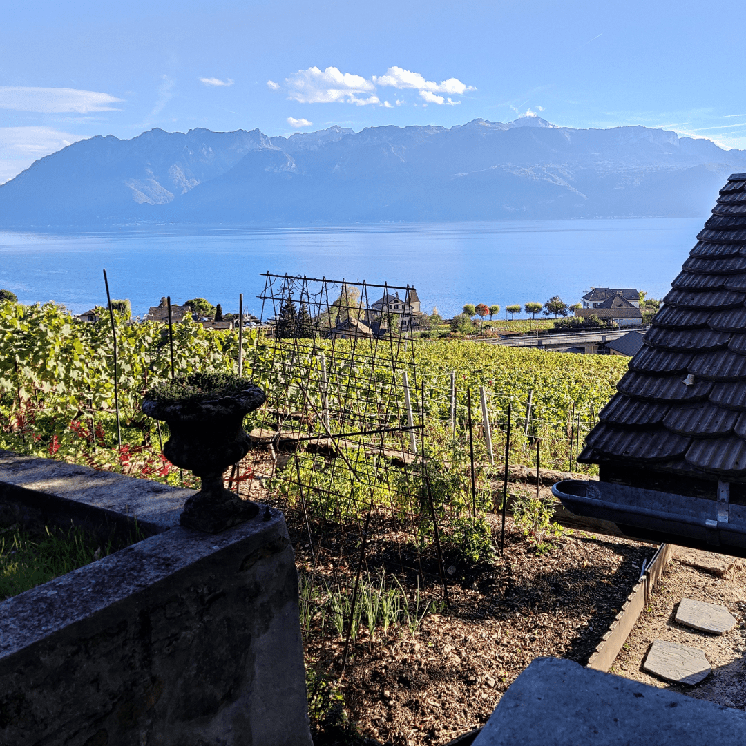 Swigift- Bon cadeau - Atelier Oeno'ludique - cadeau vin Suisse - Swiss wine gift - Weingeschenk Schweiz