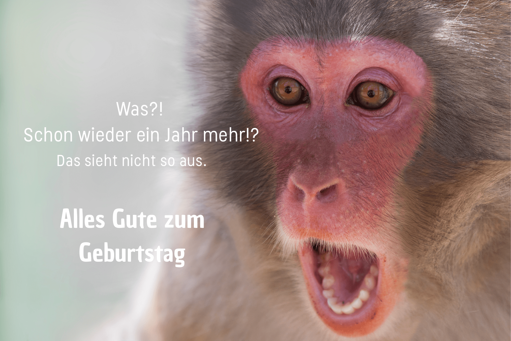 carte de voeux anniversaire - birthday greetings card - Glückwunschkarte zum Geburtstag