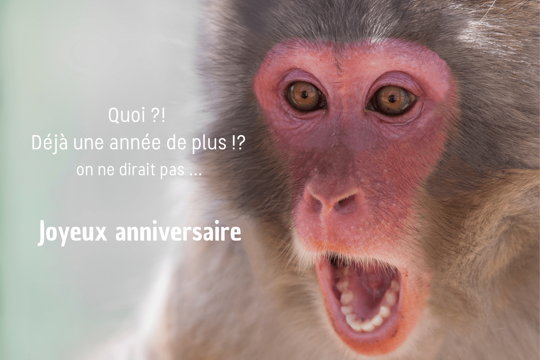 carte de voeux anniversaire - birthday greetings card - Glückwunschkarte zum Geburtstag