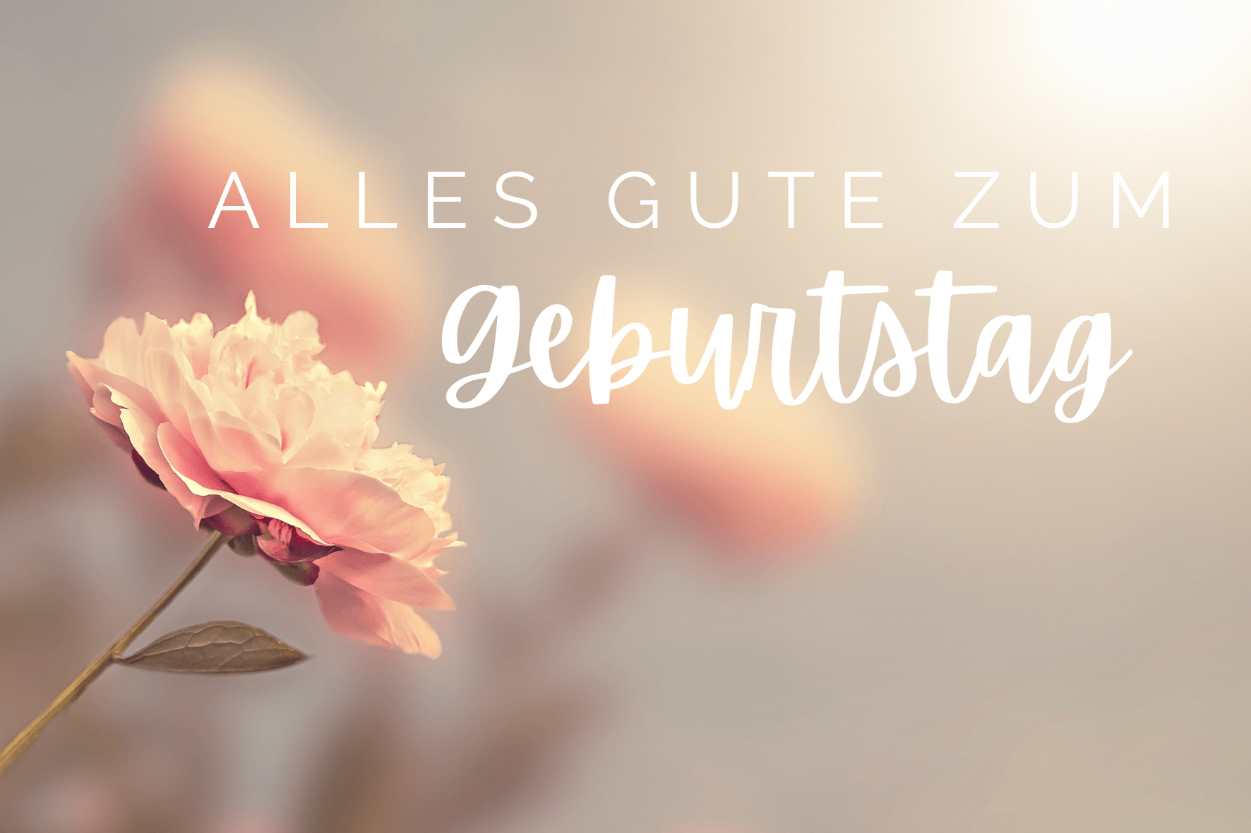 carte de voeux anniversaire - birthday greetings card - Glückwunschkarte zum Geburtstag