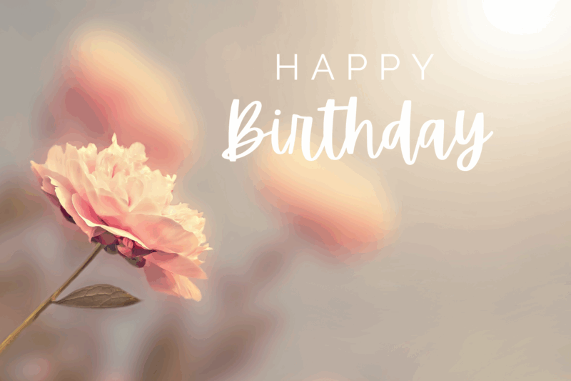 carte de voeux anniversaire - birthday greetings card - Glückwunschkarte zum Geburtstag