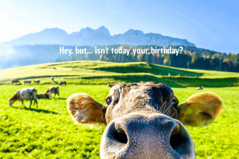 carte de voeux anniversaire - birthday greetings card - Glückwunschkarte zum Geburtstag